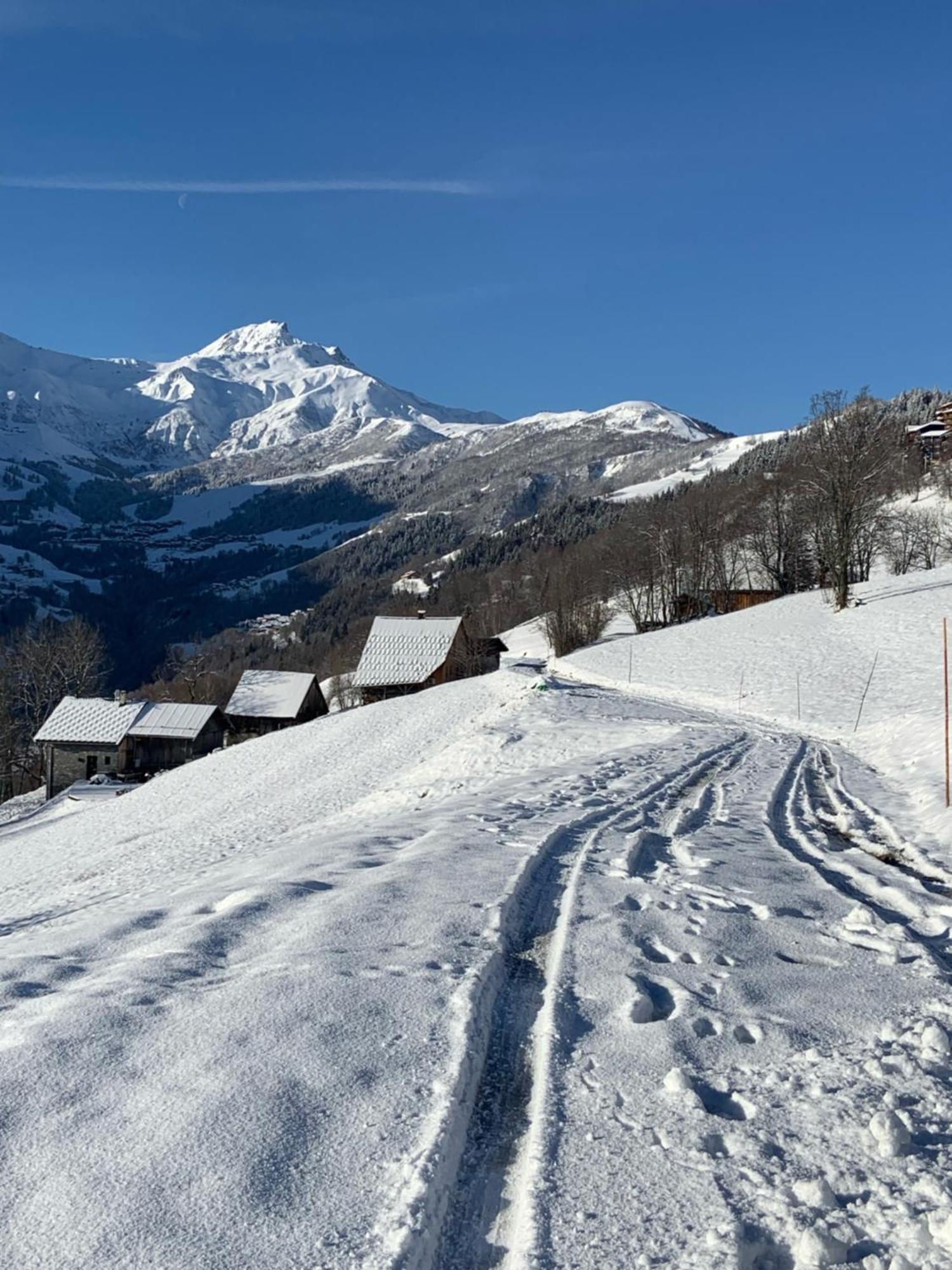 Chalet Confidentiel Valmorel - Chalet De Haut De Gamme 4 Etoiles 12 Personnes Doucy Exteriér fotografie